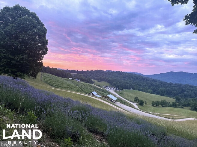 Primary Photo Of 3899 Eakin Farm Rd, Blacksburg Winery Vineyard For Sale