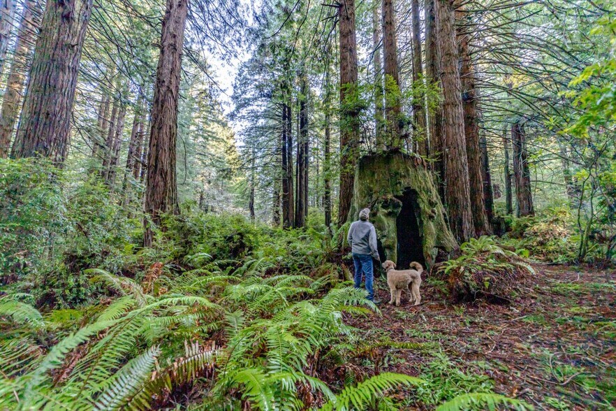 More Photos Of 1155 Patricks Point, Trinidad Land For Sale