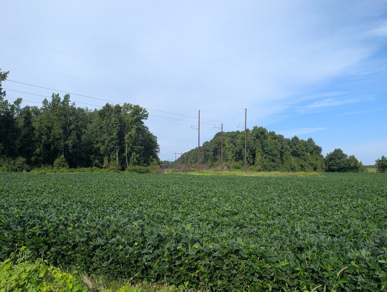 More Photos Of Dallas Rd, Lumberton Land For Sale