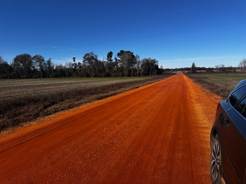 More Photos Of 0 Wiggins Road, Frisco City Land For Sale