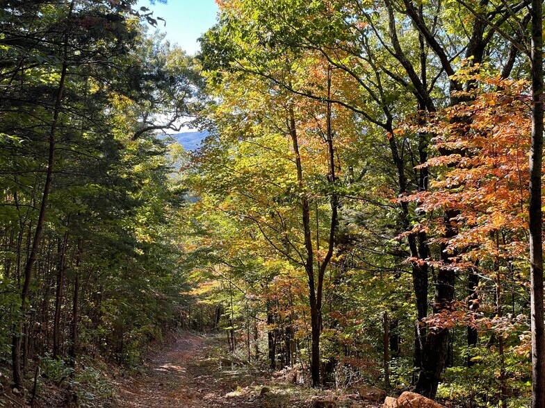 More Photos Of Tickanetley Ln, Ellijay Land For Sale