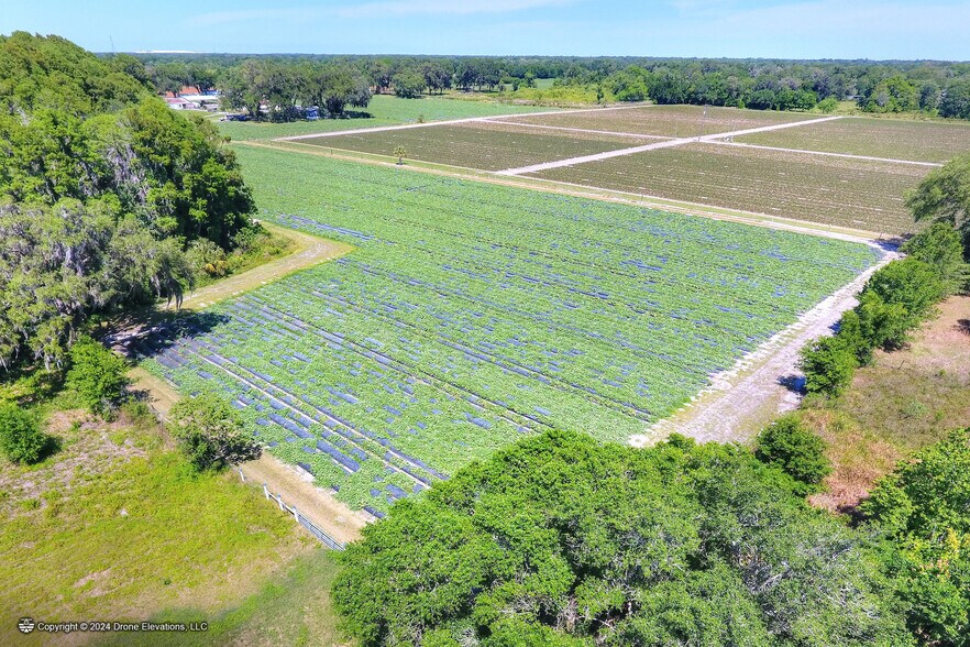 More Photos Of 5625 Stafford Rd, Plant City Land For Sale