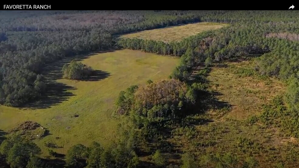 More Photos Of 0 Favoretta (County 200) Rd, Bunnell Land For Sale