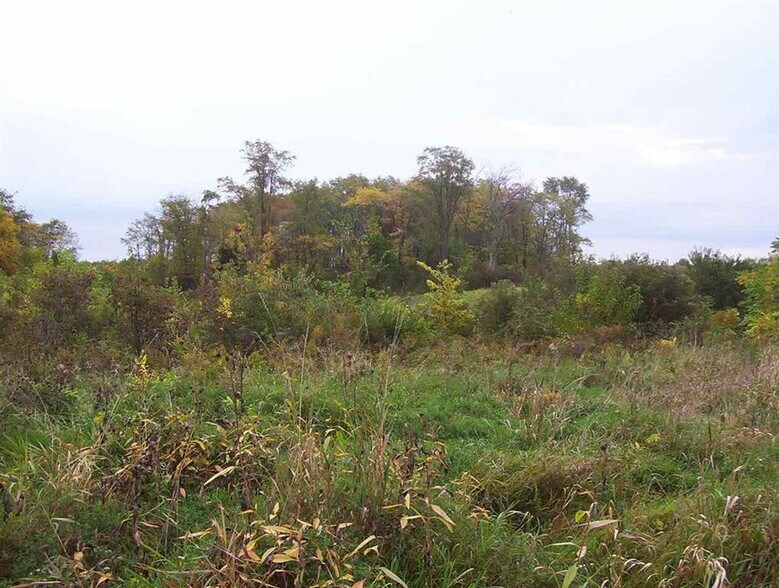 More Photos Of 210th Street Northeast, Solon Land For Sale