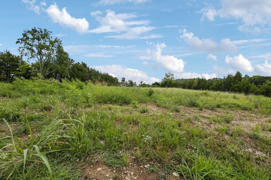 More Photos Of 7665 Shelbyville Pike, Christiana Land For Sale