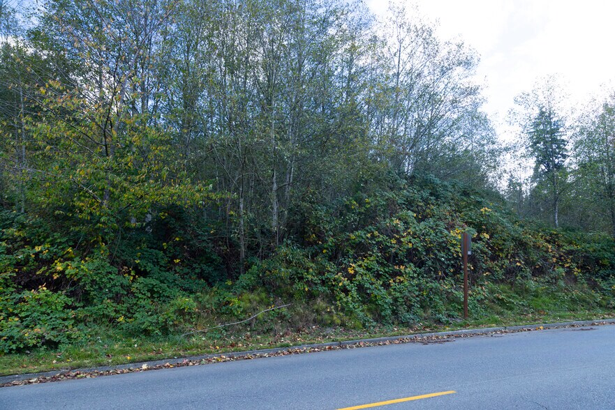 More Photos Of 10th Avenue @ Liberty, Poulsbo Land For Sale