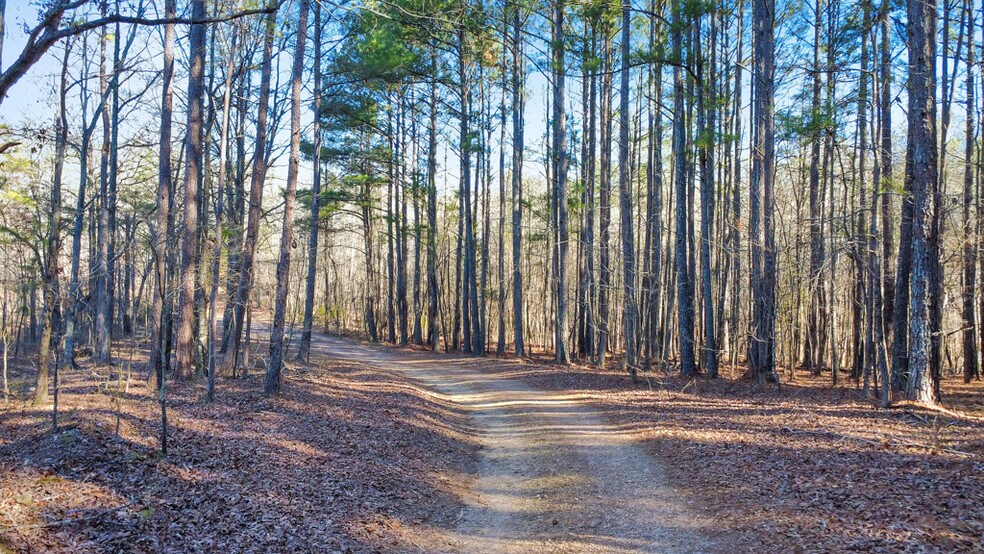 More Photos Of 277 Bethel Church Rd SE, Silver Creek Land For Sale