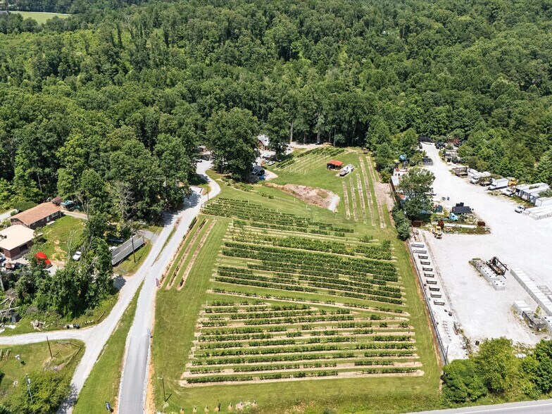 More Photos Of 124 Sandy Hill Ln, Hendersonville Winery Vineyard For Sale