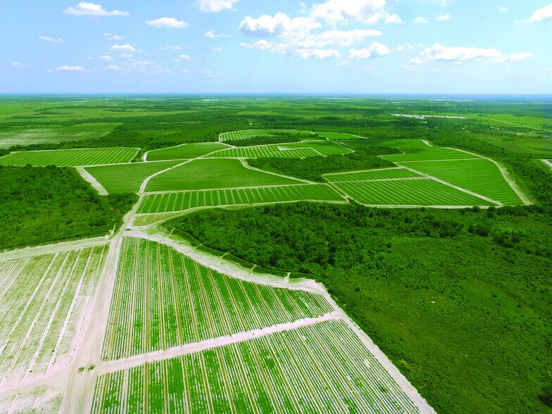 More Photos Of 40105 Ballard Rd, Myakka City Land For Lease