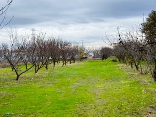 More Photos Of 3832 99 Frontage rd, Stockton Land For Lease