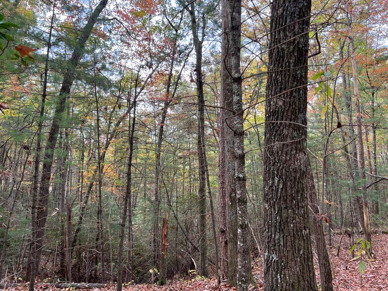 More Photos Of Whitecliff Drive, Ellijay Land For Sale