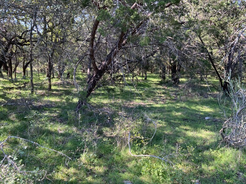 More Photos Of TBD County Road 396, Carlton Land For Sale