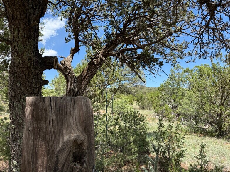 More Photos Of 44 Forest 321 Rd, Estancia Land For Sale