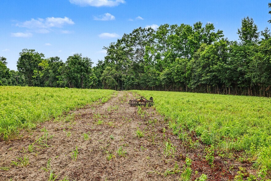 More Photos Of TBD Mitchell Sea Rd., Green Sea Land For Sale