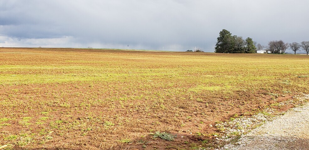 More Photos Of 29423 Old Highway 20, Madison Land For Sale