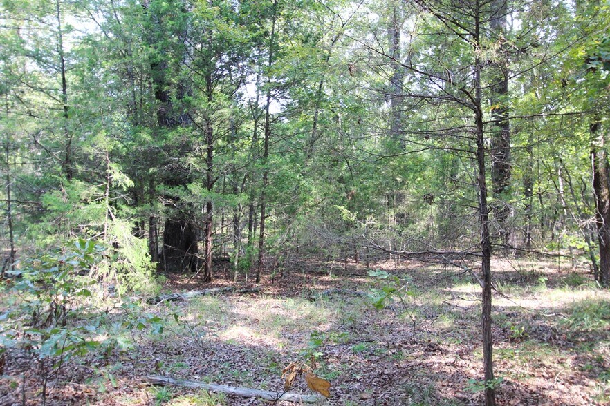 More Photos Of 226 Blythe rd, Greenbrier Land For Sale