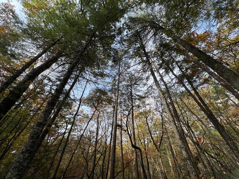 More Photos Of Whitecliff Drive, Ellijay Land For Sale