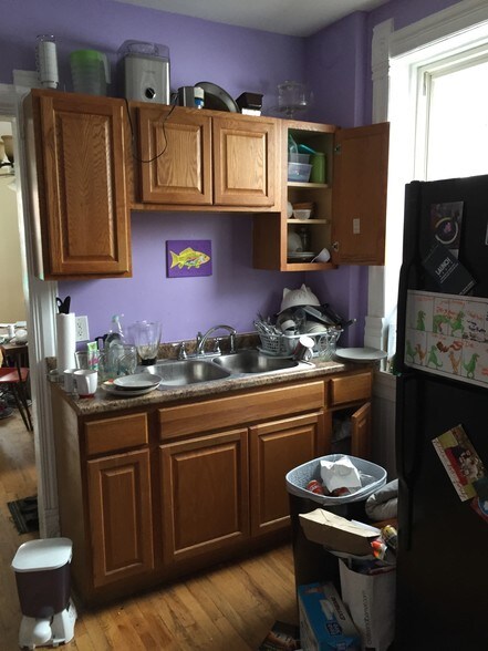 More Photos Of 1719 W 18th St, Chicago Storefront Retail Residential For Lease