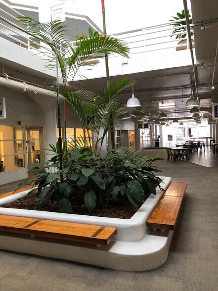 More Photos Of 560 Nimitz Hwy, Honolulu Office For Lease