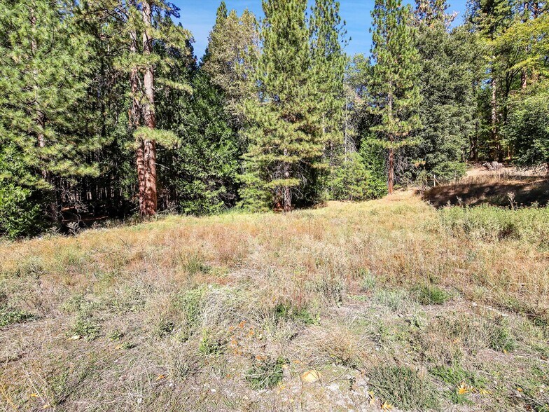 More Photos Of 13651 US Hwy 50, Kyburz Land For Sale