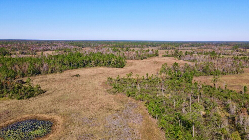 More Photos Of 4597 State 24 rd, Bronson Land For Sale