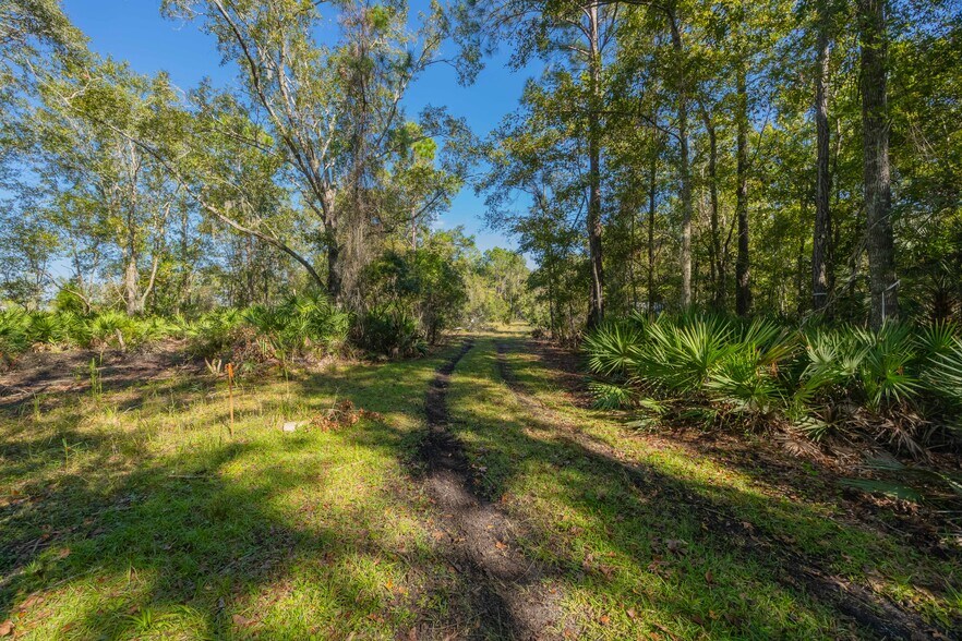 More Photos Of 1974 State Road 16, Saint Augustine Land For Sale