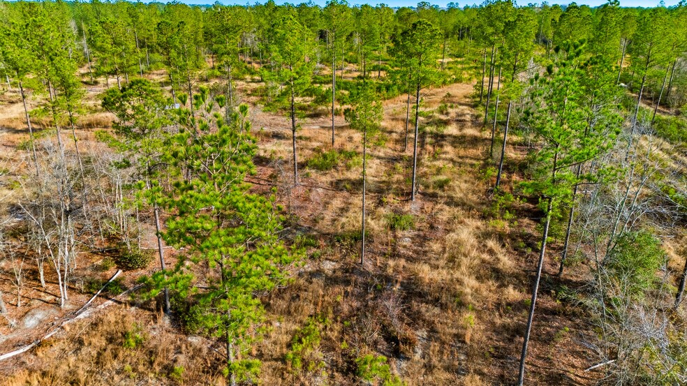 More Photos Of Highway 45, Loris Land For Sale