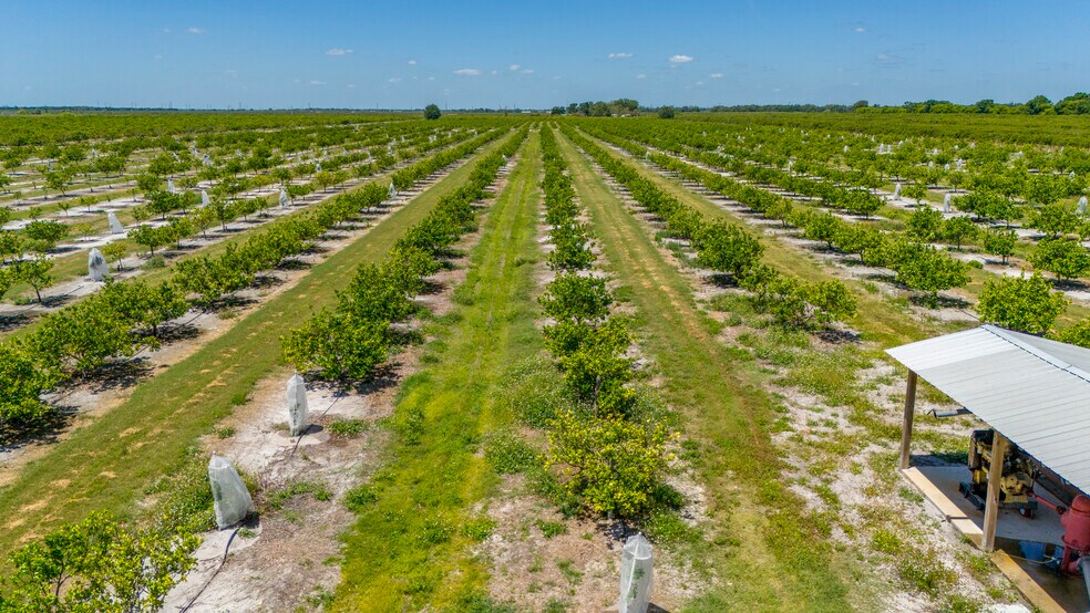 More Photos Of Hwy 31 @ #40, Arcadia Land For Sale
