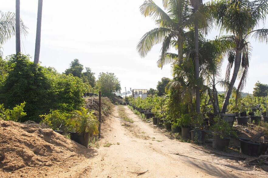 More Photos Of 3129 Reche Rd, Fallbrook Land For Sale