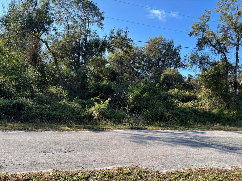 Primary Photo Of County Road 690, Webster Land For Sale