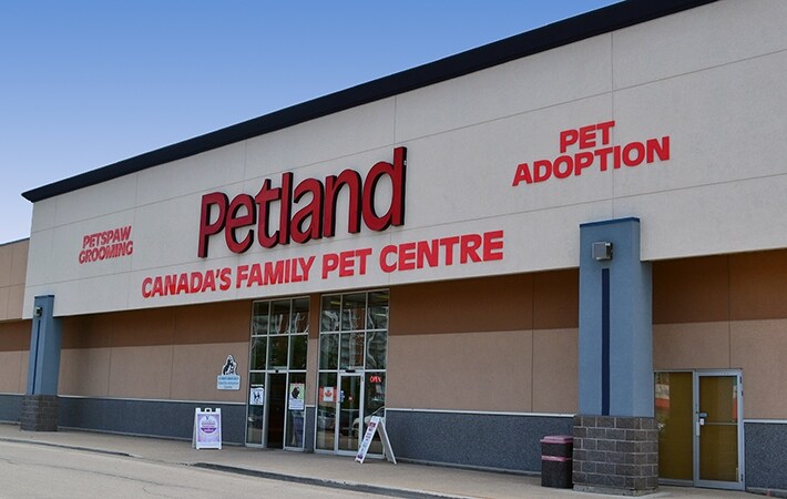 More Photos Of 1910 Pembina Hwy S, Winnipeg Freestanding For Lease