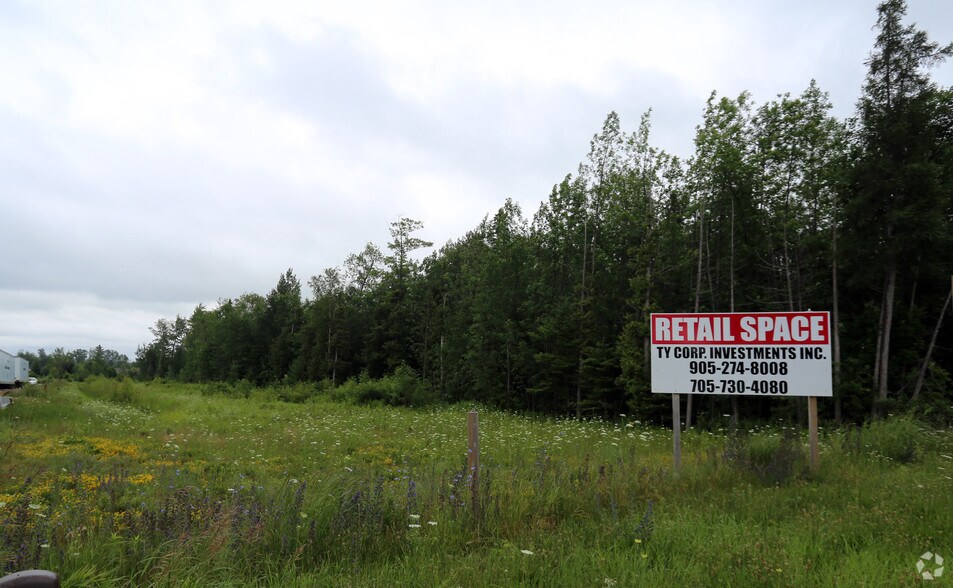 More Photos Of 125 45th St, Wasaga Beach Land For Sale