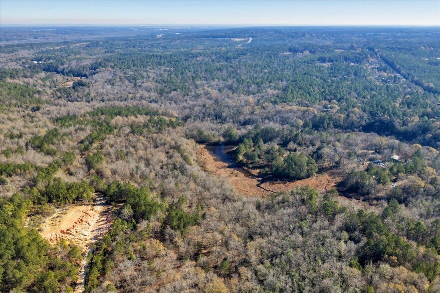 More Photos Of 2251 BOY SCOUT rd, Byron Land For Sale