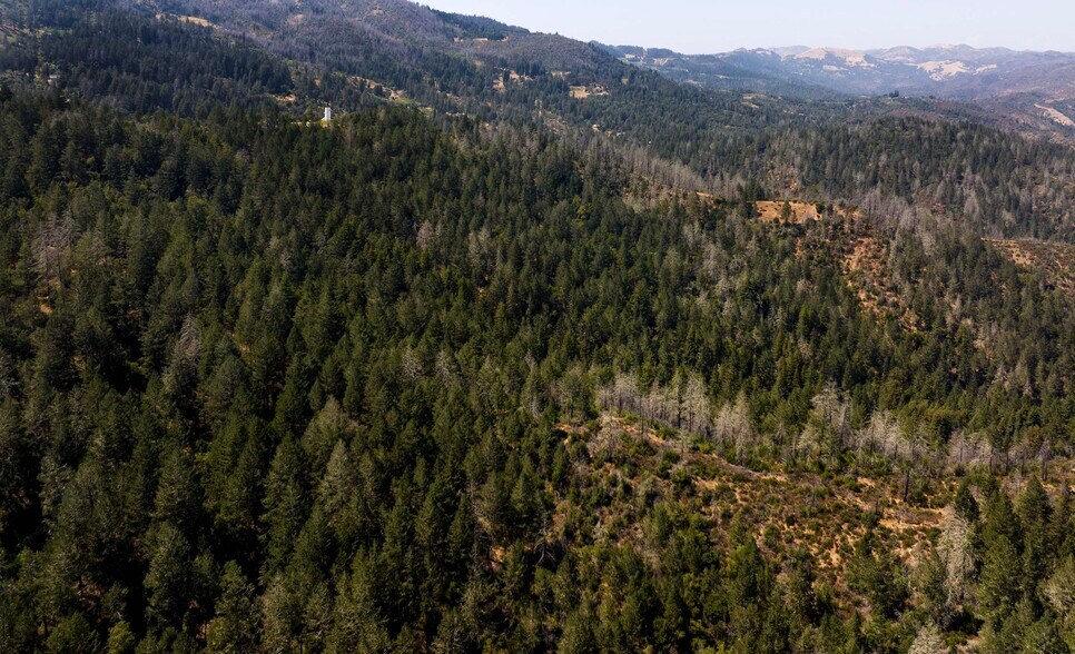 More Photos Of 3000 Mount Veeder Rd, Napa Winery Vineyard For Sale