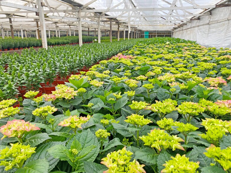 More Photos Of 1385 Anderson Ln, Santa Barbara Land For Sale