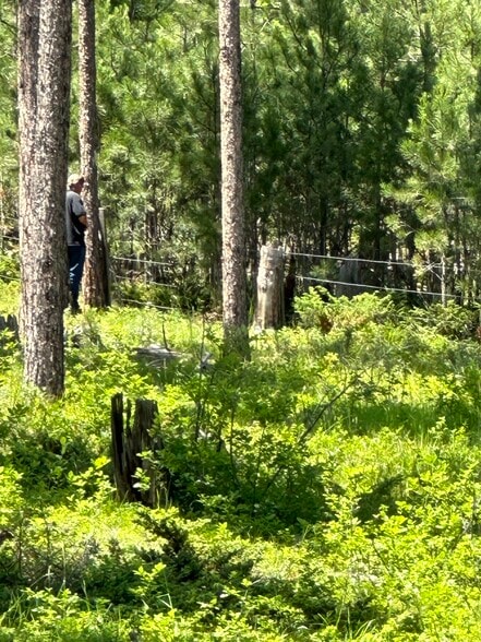 More Photos Of 21301 Vanocker Canyon Road, Sturgis Land For Sale