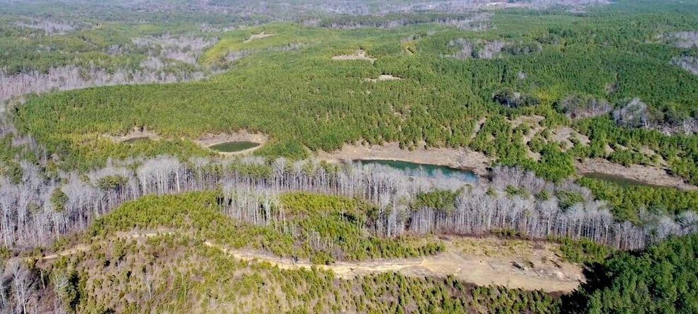 More Photos Of 0 AL 13, Nauvoo Land For Sale