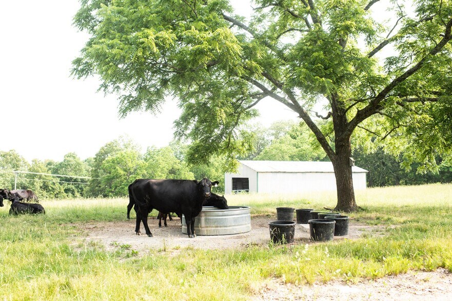 More Photos Of 17551 Longview Rd, Elk Creek Land For Sale