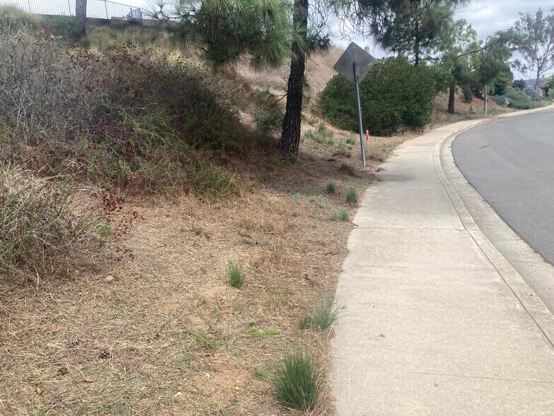 More Photos Of 0 Calle Los Arboles, Spring Valley Land For Sale