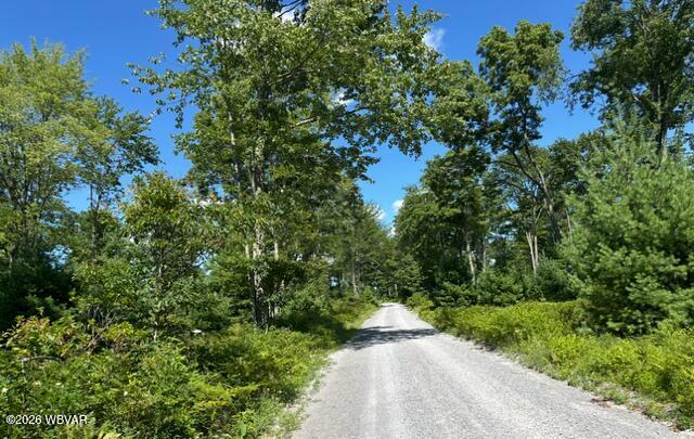More Photos Of Beech Creek Mountain Rd, Beech Creek Land For Sale