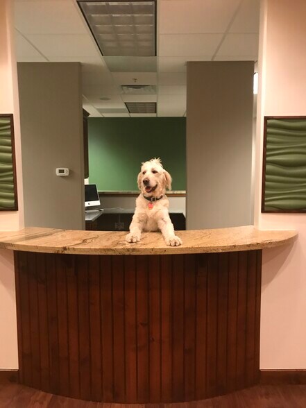 More Photos Of 4465 S 900 E, Millcreek Medical For Lease
