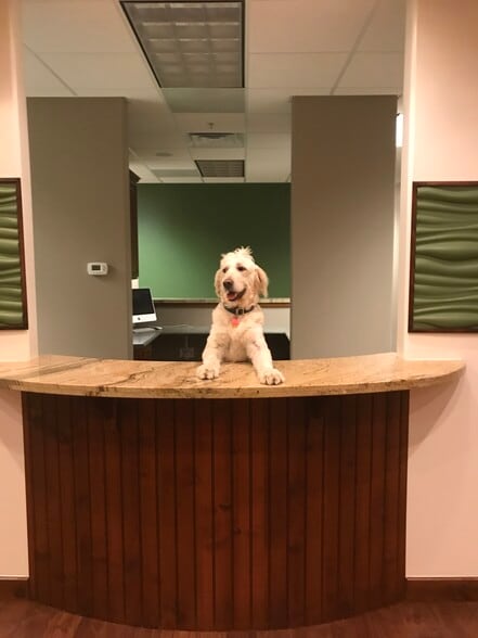 More Photos Of 4465 S 900 E, Millcreek Medical For Lease