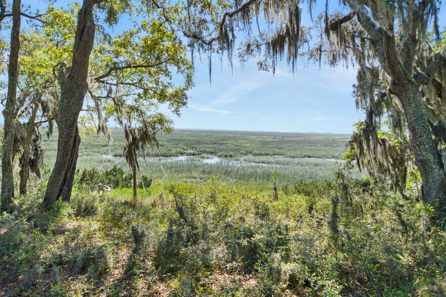 More Photos Of 0 Fig Tree, Midway Land For Sale