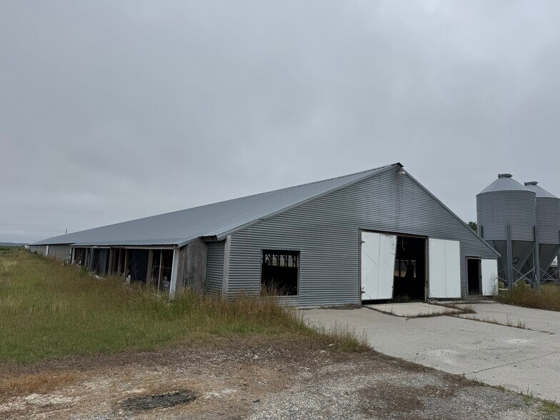 More Photos Of 7193 Bullbegger Rd, Withams Land For Sale