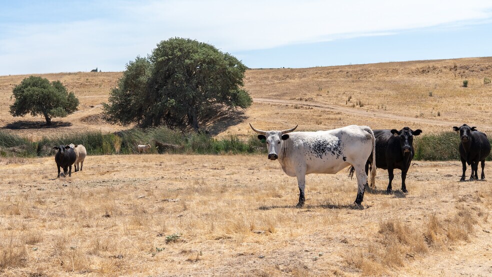 More Photos Of 0 Creston Road, Paso Robles Land For Sale
