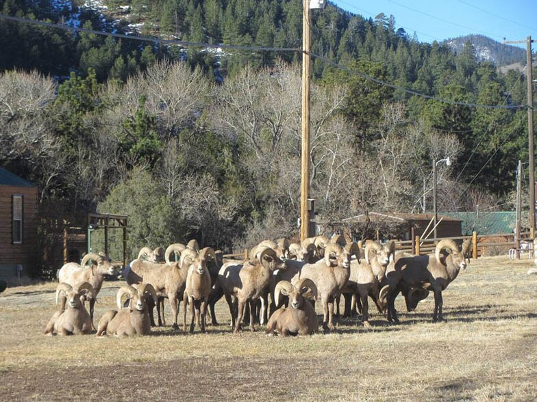 33021 Poudre Canyon Rd, Bellvue, CO 80512 Hotel For Sale