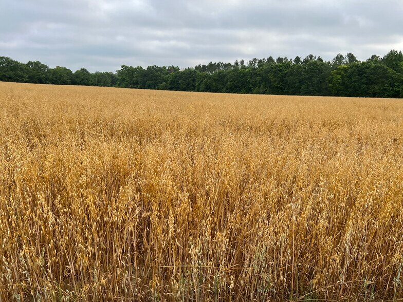 More Photos Of 2833 Omussee Rd, Dothan Land For Sale