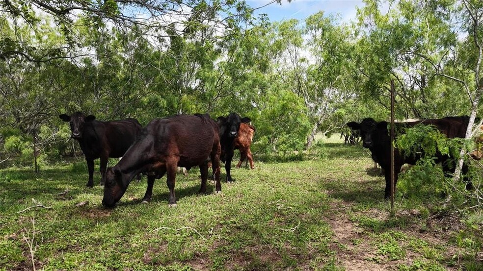 More Photos Of TBD Reids Bend rd, Bastrop Land For Sale
