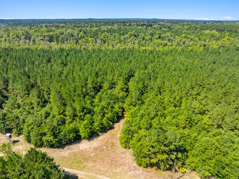 More Photos Of 7471 Highway 155, Saline Land For Sale