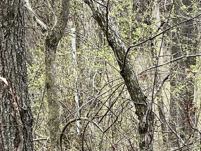 More Photos Of 00 US Highway 51, De Soto Land For Sale